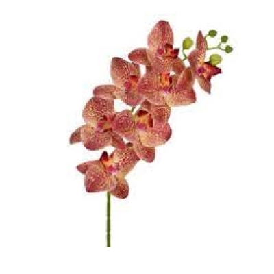 Ht orquidea x7 3d rosa claro